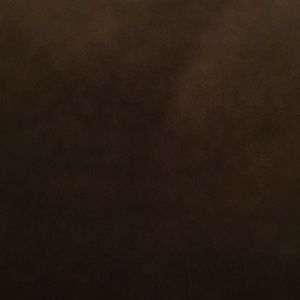 Meet your Posher, Shane